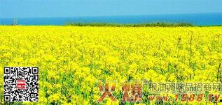 国产四级,引领中国电影新潮流