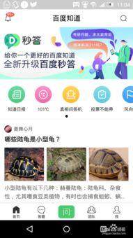 九一网页版免费在线电脑网页版